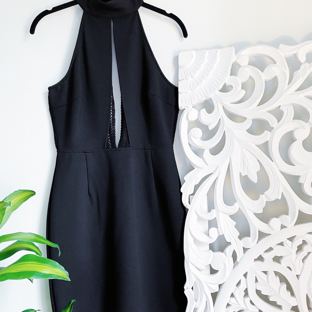 {Tobi} Mesh Bodycon Dress